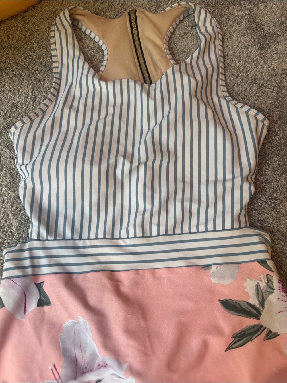 Albion Fir Striped & Floral One-Piece Swimsuit in Blue and Pink